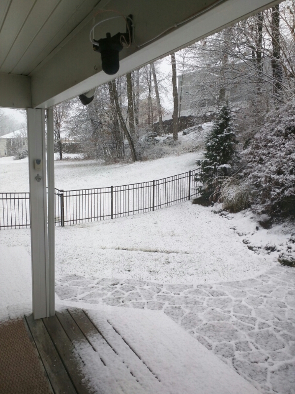 Snowing in November